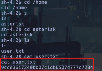 User flag localizada en /home/asterisk